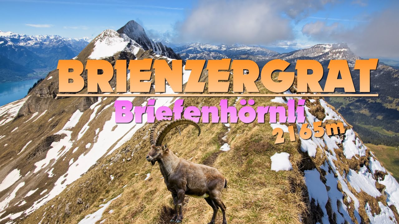 Immerse yourself in the virtual experience of a Brienzergrat Ridge Hike.