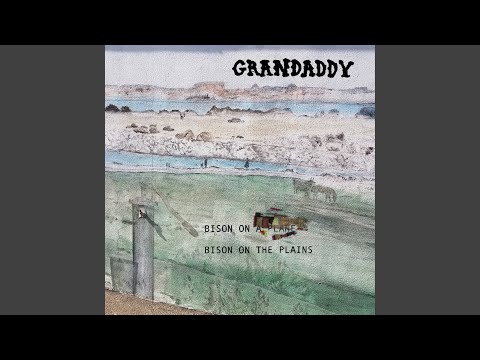 Video thumbnail for Bison on the Plains