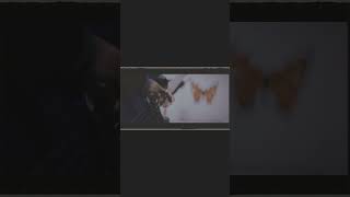 【#盗作ライブ】【#ヨルシカ】【#盗作再演】ヨルシカ LIVE TOUR 2021「盗作」セトリメドレー Guitar＆Basscover by フクレモ.    #盗作live  #キタニタツヤ