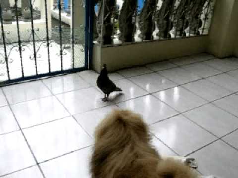 Ay posible na mawalan ng timbang sa gutom Ehersisyo para sa pagbaba ng timbang sa home video Anita