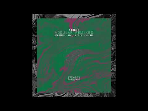 PREMIERE: Barbur – Modular (Red Pig Flower Remix) [Frequenza Records]