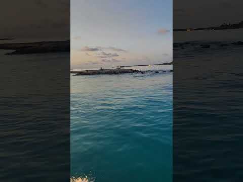 Sunset cruise#mobilevideography #island #trending #ocean #shorts #pocox5pro5g #maldives