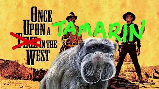 World's Greatest 14 Monkey Movies Of All Time!