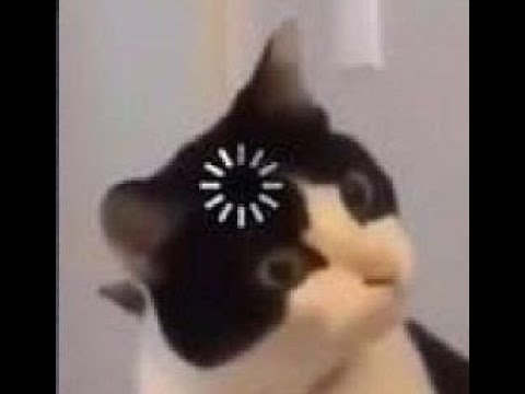 POE 3.13 Maven's Invitation: The Feared   ft.Chaos