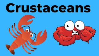 Characteristics of Crustaceans