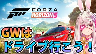 【Forza Horizon 5】初見！GWはメキシコにドライブに行きます【荒野の長侍】