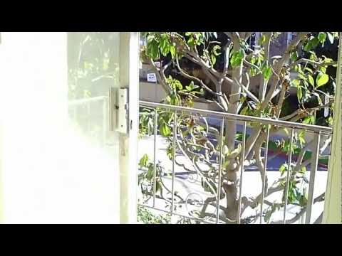 Huge 2 Bed 2 Bath Apartment For Rent In West LA / Santa Monica -  562Rent.com