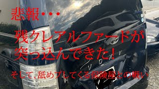 【マジギレ】残クレアルファードが突っ込んできた【保険屋とガチバトル】