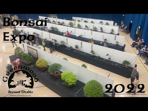 Bonsai Expo 2022 - Greenwood Bonsai