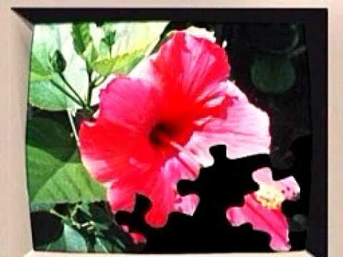 IT: Jak działa internet?