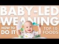 Why I Won't Introduce Solids Any Other Way | TOP 10 FIRST FOODS FOR BABY | Baby Led Weaning