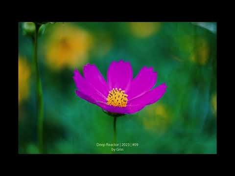 Deep Reactor #09 | Deep House set