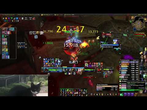 Dreamstate Throne of Thunder Primordius 10M Heroic