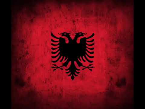 NDUE SHYTANI-QERIM DELIA