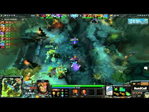 RaidCall EMS One - Na'Vi vs Fnatic EU - Grand Final Game 2 Cup 1