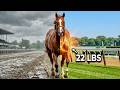 The Day Secretariat Turned Into A Machine