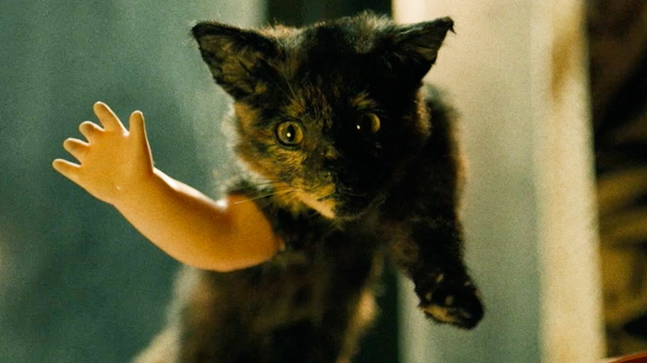 Psycho Therapy: The Shallow Tale of a Writer Who Decided to Write About a Serial Killer - Видео