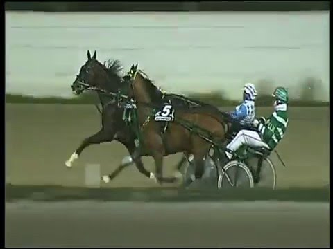 Trotto 31/12/2015 - 7° corsa