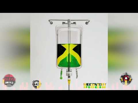 Recovery Riddim - The 9ine x Jada Kingdom - Turn Me On (Mad One Remix) | Dancehall 2025