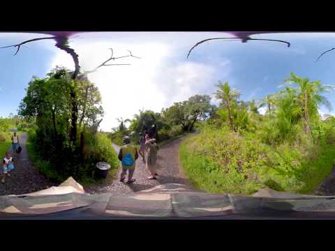 360 Video of Victoria falls forest walkway , Zimbabwe