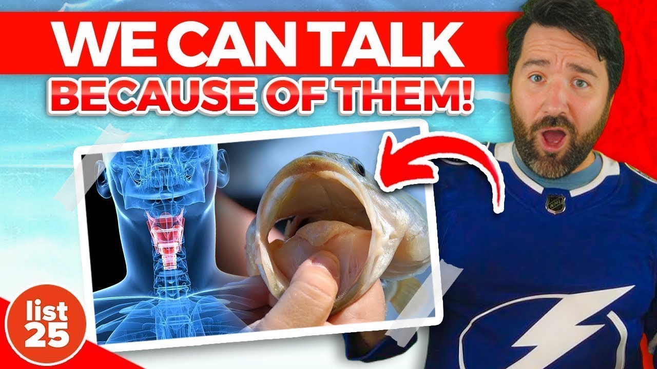 25 Crazy Facts You Won't Believe Are True