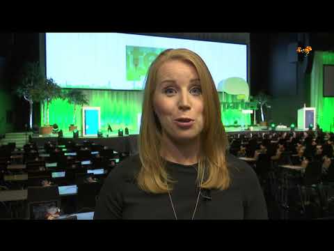 Efter sprickan kring Peter Hultqvist - Så ska alliansen stärkas