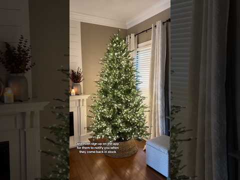Part of a video titled HOME DEPOT VIRAL GRAND DUCHESS BALSAM FIR ... - YouTube