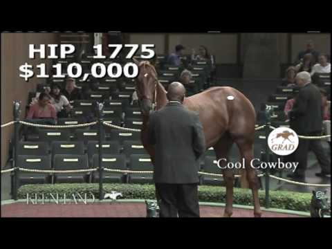 Cool Cowboy como um ano de setembro de Keeneland