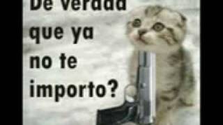 porta - recuerdos para olvidar