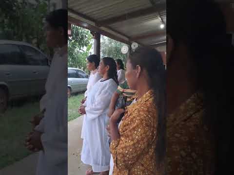 radio ligados na videira