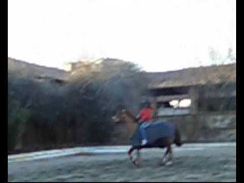 venturina START summer 09