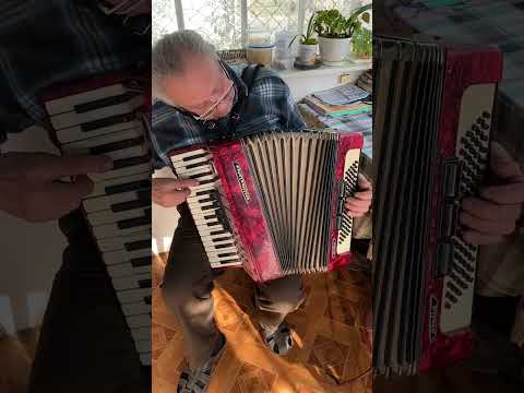 Weltmeister Stella accordion, 3/4 accordion, 80 Bass, 34 keys, 3 voices, 5+3 registers, You can buy