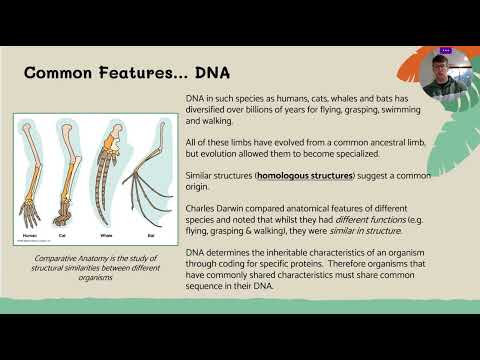 4.2.1 - Comparitive Genomics