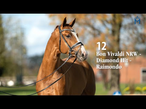 Nr. 12 gek./lic. Bon Vivaldi