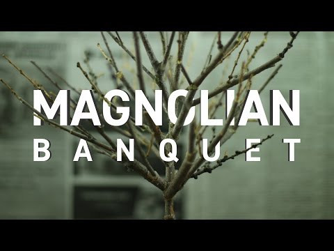Magnolian - Banquet (Official Video)