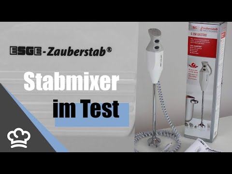 ESGE G350 Gastro Stabmixer im Test