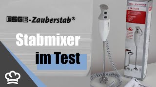 ESGE G350 Gastro Stabmixer im Test