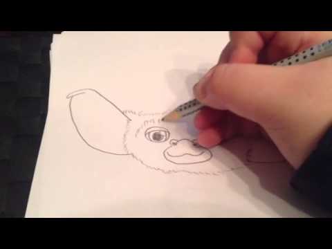 Alex draws #2 gizmo from gremlins