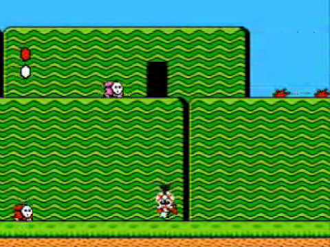 Super Mario Bros. 2 Glitches