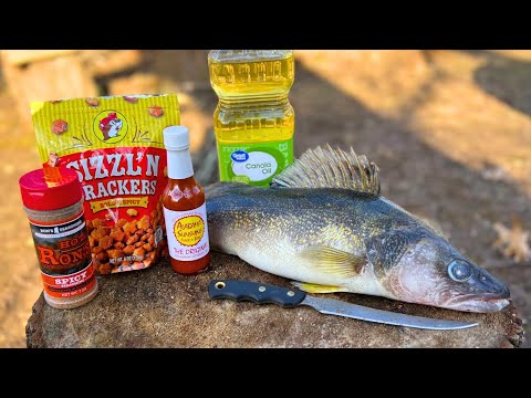 Huge Walleye Catch n' Cook | Spicy Fried Walleye!
