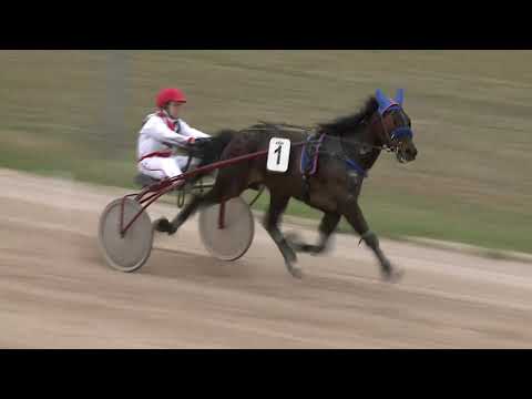 2021.04.17. 04. futam - 2021. ÉVI KINCSEM PARK KUPA III. FUTAMA HENDIKEP