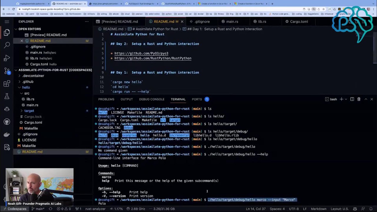 Assimilate-Python-For-Rust