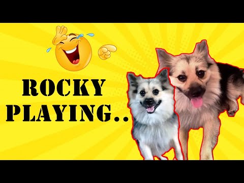 #Rocky Playing | Subhra  Liv