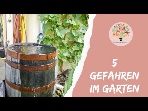 5 tödliche Fallen im Garten – und wie du sie sofort entschärfst