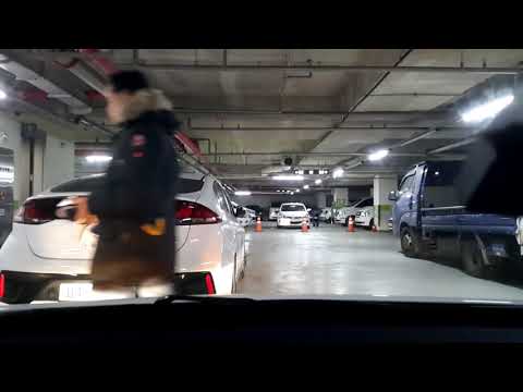 Autoboy Blackbox : Dashcam App - 2019-01-17 16:29:28