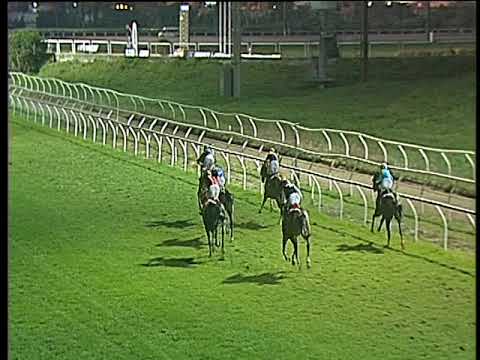 Galoppo 13/02/2018 - 6ª corsa