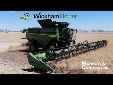John Deere X9 Harvesting Canola In Australia! | Wickham Flower | Filmed 3-12-2021