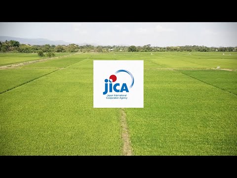 Three Tanzanian Innovative Startups with Documentary Videos