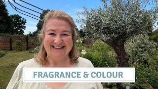 Colourful & Scented Patio Containers | Easy Summer Planting Ideas // Cottoverdi