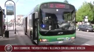 preview picture of video '10-05-2013 Bus e corriere: Treviso studia l'alleanza con Belluno e Venezia'